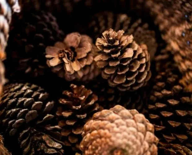 Eirixo Σπίτι διακοπών *